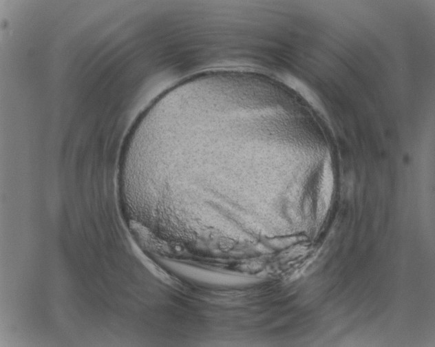 X0000067871237200604271727