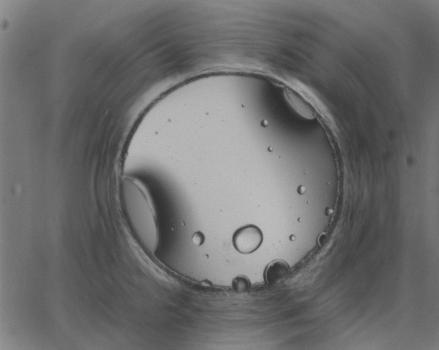 X0000067871238200604271727