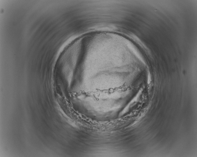 X0000067871240200604271727