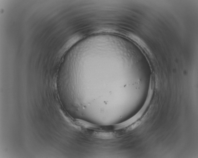 X0000067871241200604271727