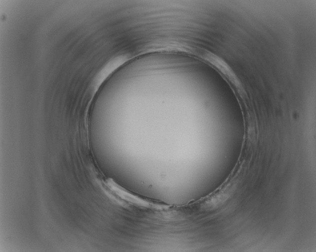 X0000067871242200604271727