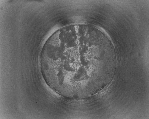 X0000067871243200604271727