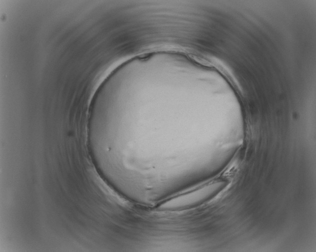 X0000067871244200604271727