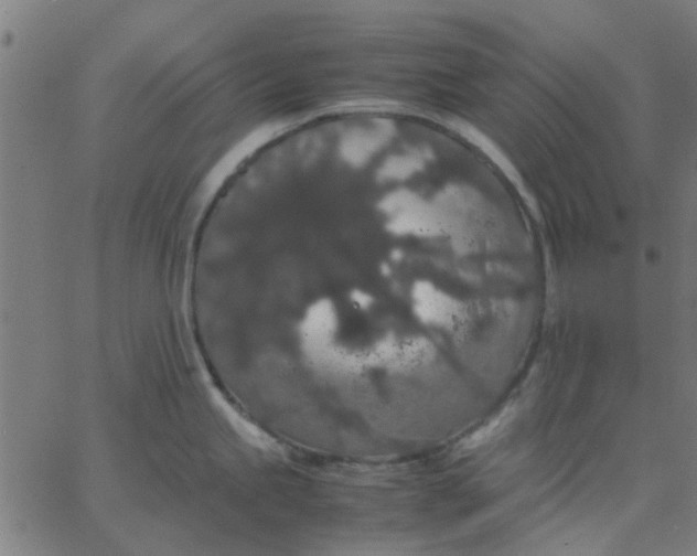 X0000067871245200604271727