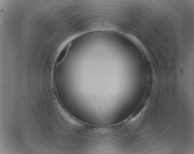 X0000067871246200604271728