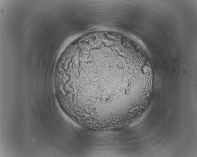 X0000067871247200604271728