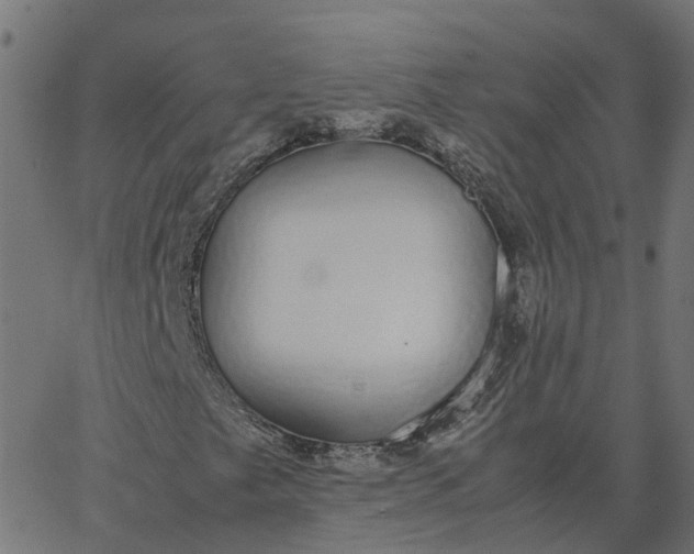 X0000067871249200604271727