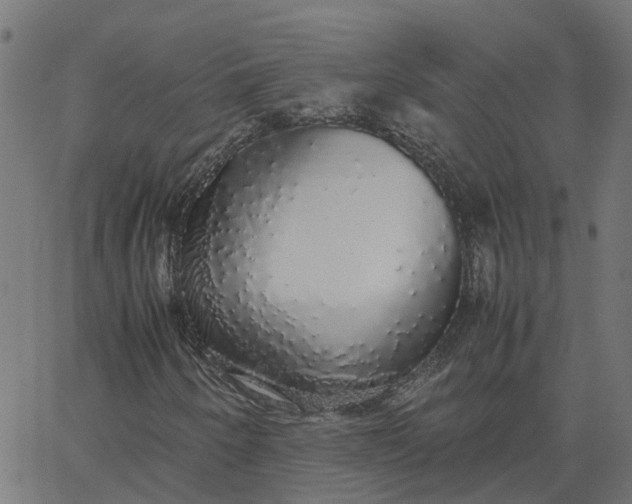 X0000067871250200604271727