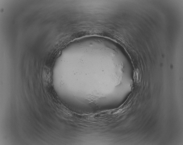 X0000067871251200604271727