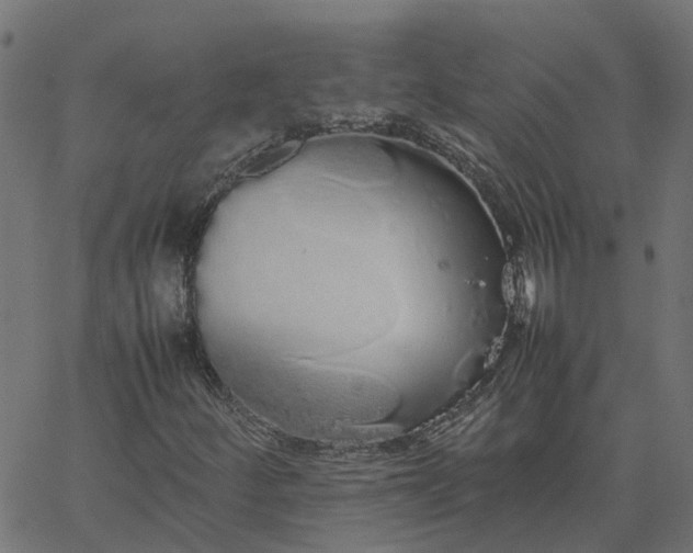 X0000067871252200604271727