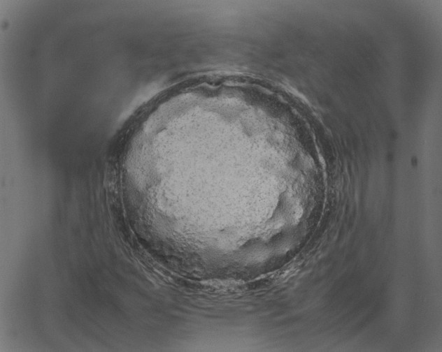 X0000067871255200604271727