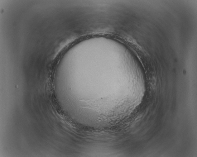 X0000067871256200604271727