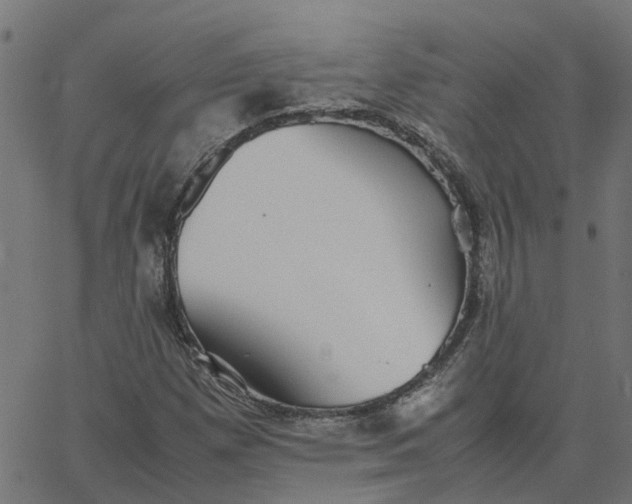 X0000067871257200604271727