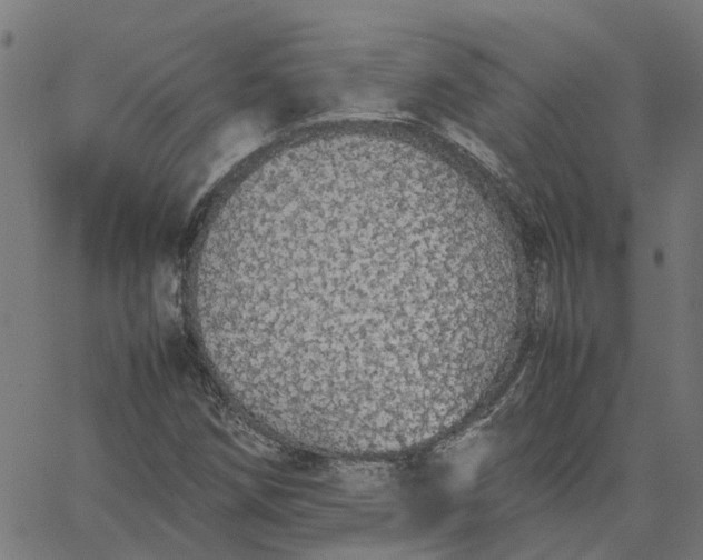 X0000067871258200604271727