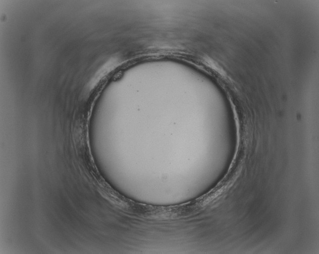 X0000067871259200604271727