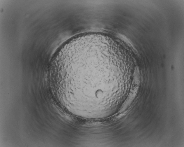 X0000067871260200604271727