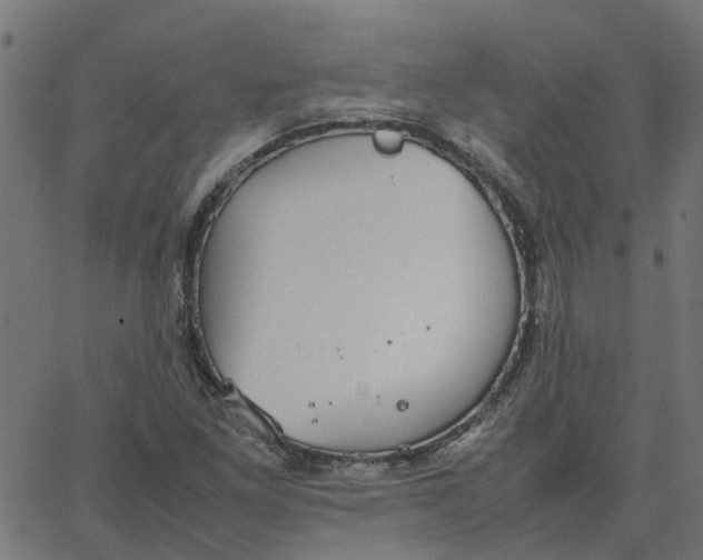 X0000067871261200604271727