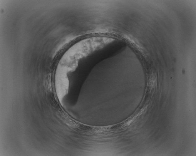 X0000067871262200604271727