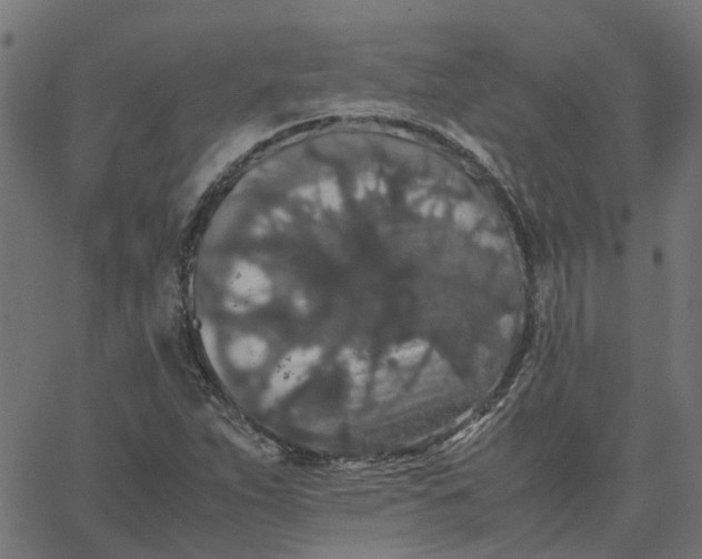 X0000067871263200604271727