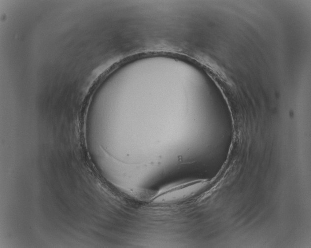 X0000067871264200604271727