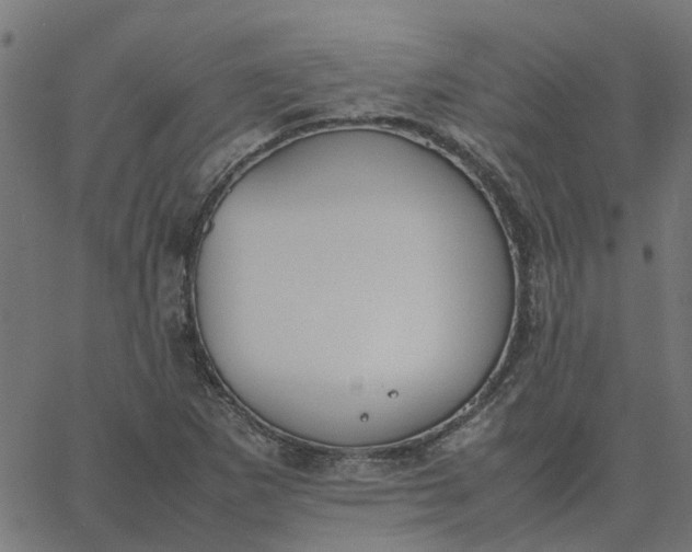 X0000067871265200604271726