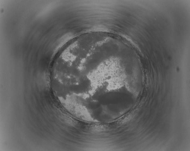 X0000067871266200604271726