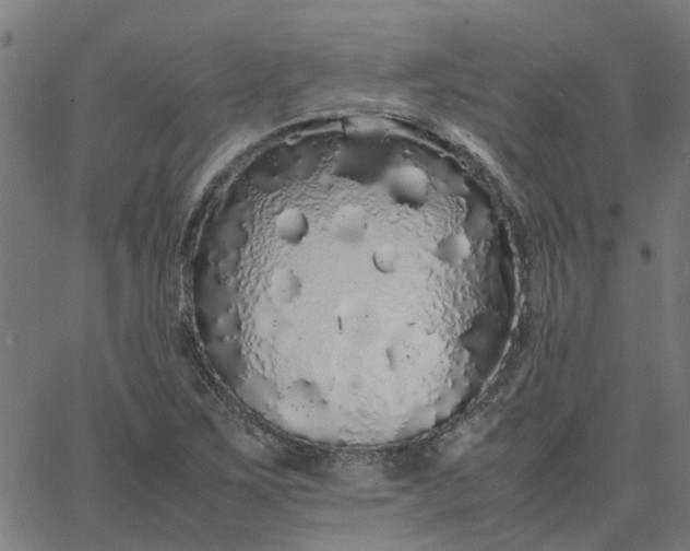 X0000067871267200604271726