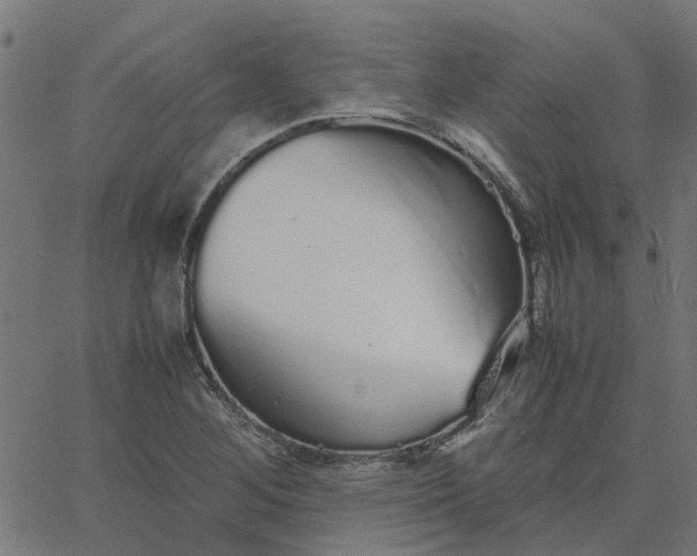 X0000067871268200604271726