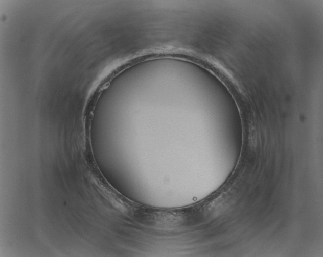 X0000067871270200604271726