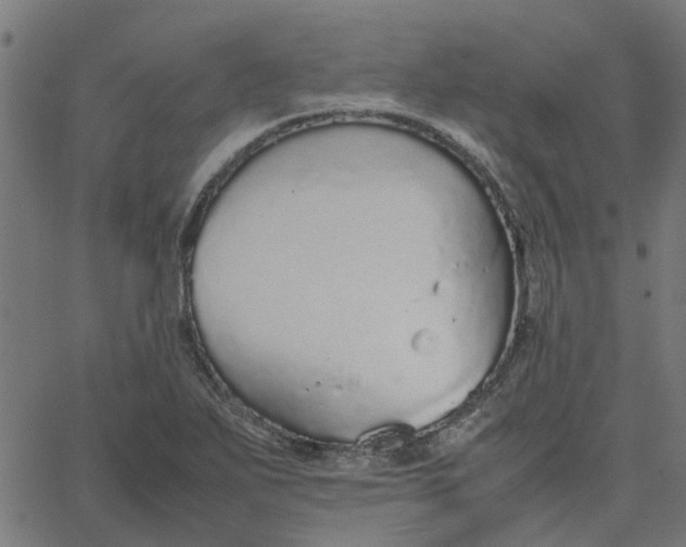 X0000067871271200604271726