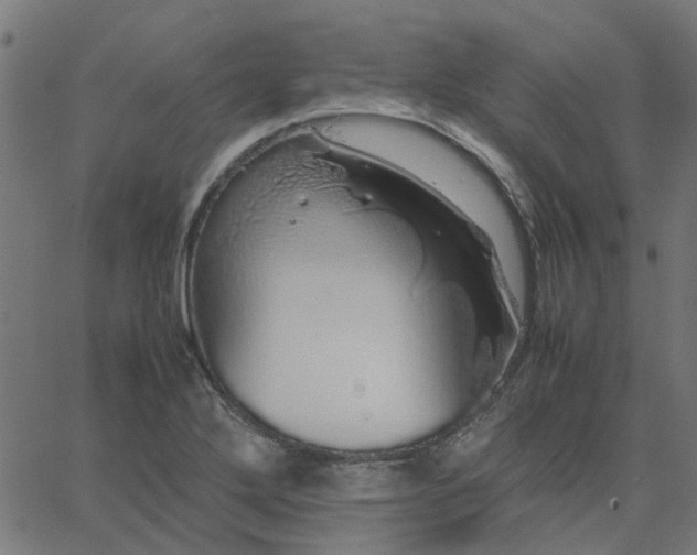 X0000067871272200604271726