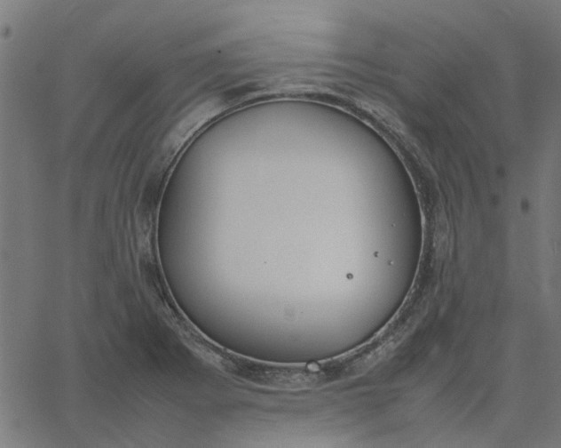 X0000067871273200604271726