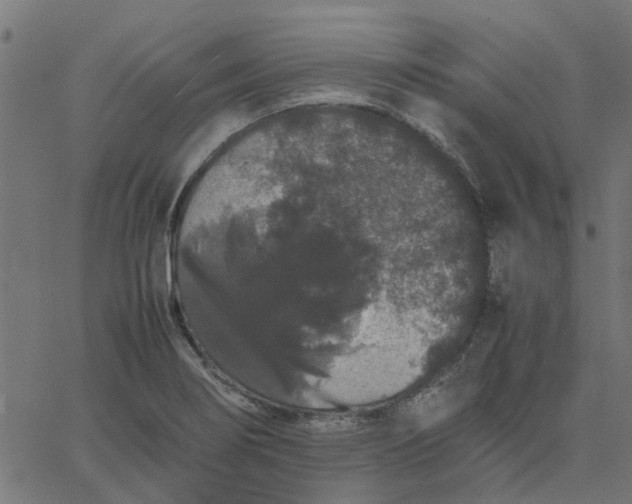 X0000067871274200604271726