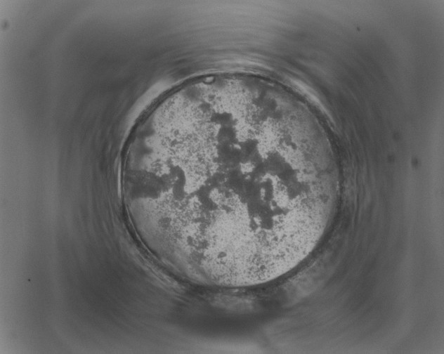 X0000067871275200604271726