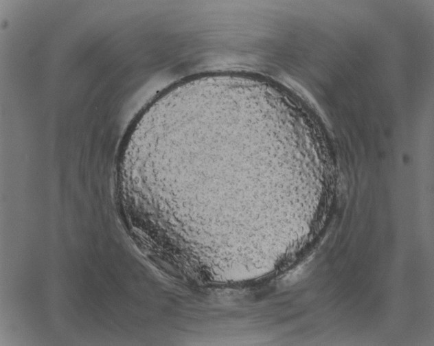 X0000067871277200604271726