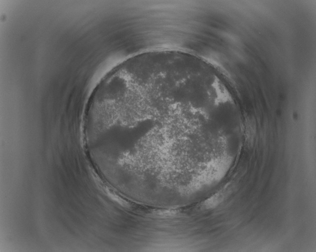 X0000067871278200604271726