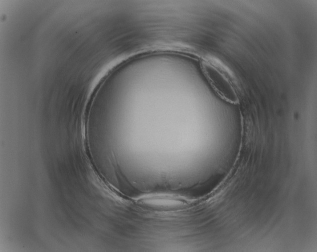 X0000067871280200604271726