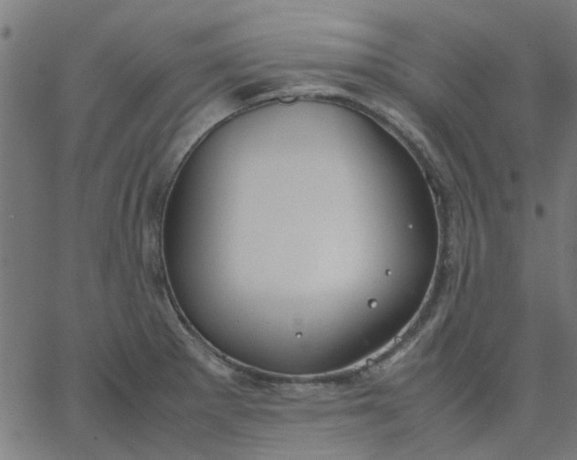 X0000067871281200604271726