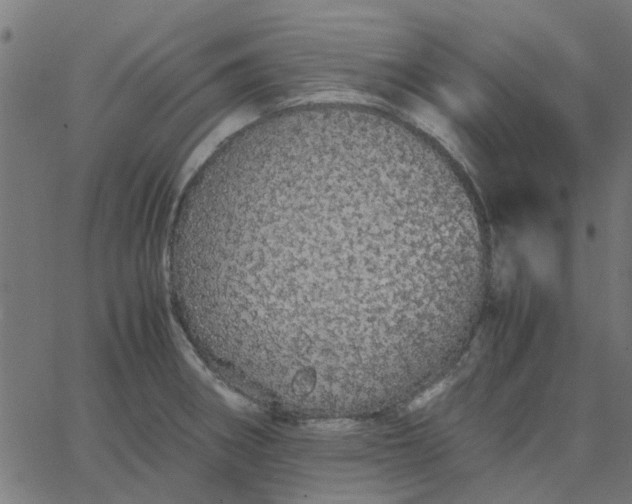 X0000067871282200604271726