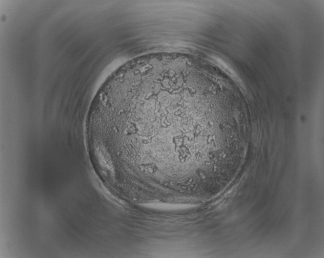 X0000067871283200604271726