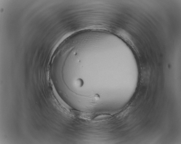 X0000067871284200604271726