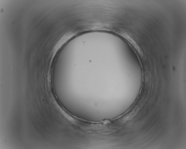 X0000067871285200604271726