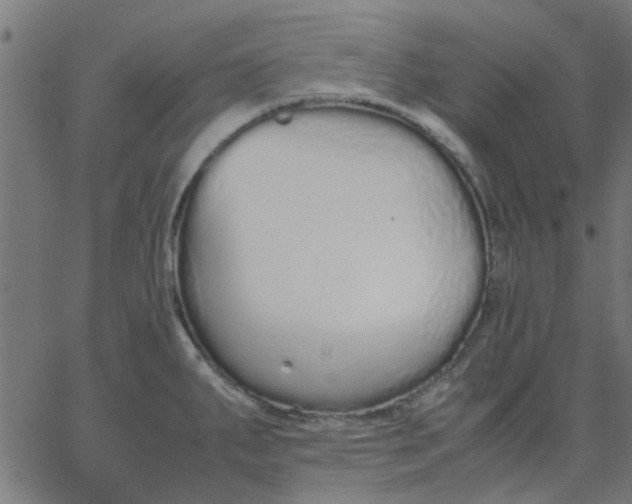 X0000067871287200604271726