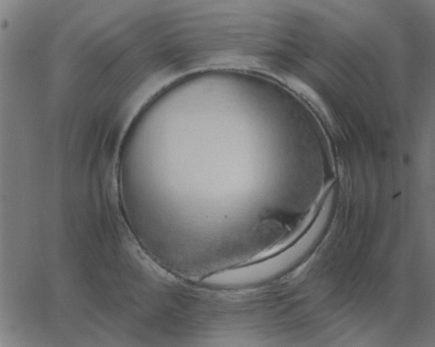 X0000067871288200604271726