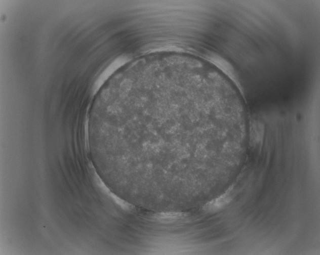 X0000067871290200604271726