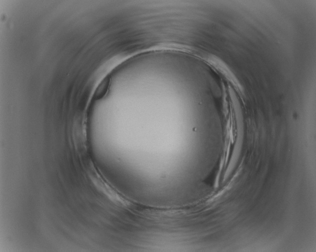 X0000067871292200604271726