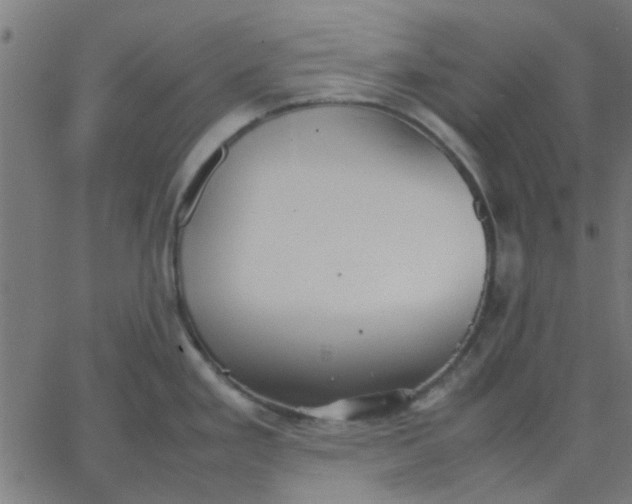 X0000067871293200604271726