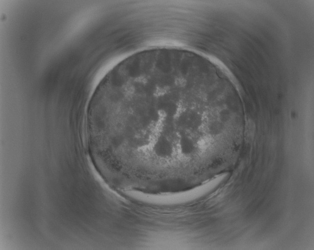 X0000067871295200604271726