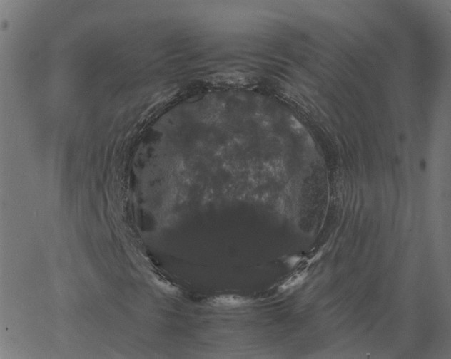 X0000067871297200604271725