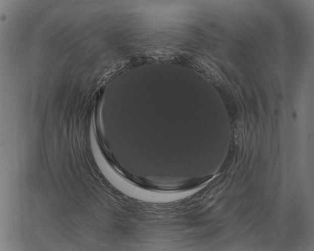 X0000067871298200604271725